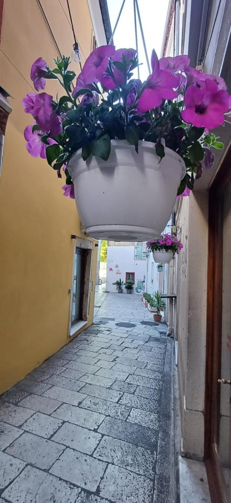Townhouse Sea View Villa Zadar Bagian luar foto